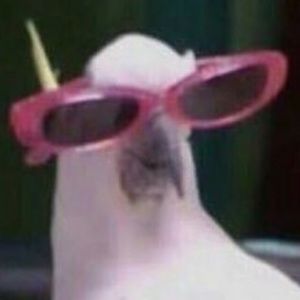 Meet your Posher, Edna